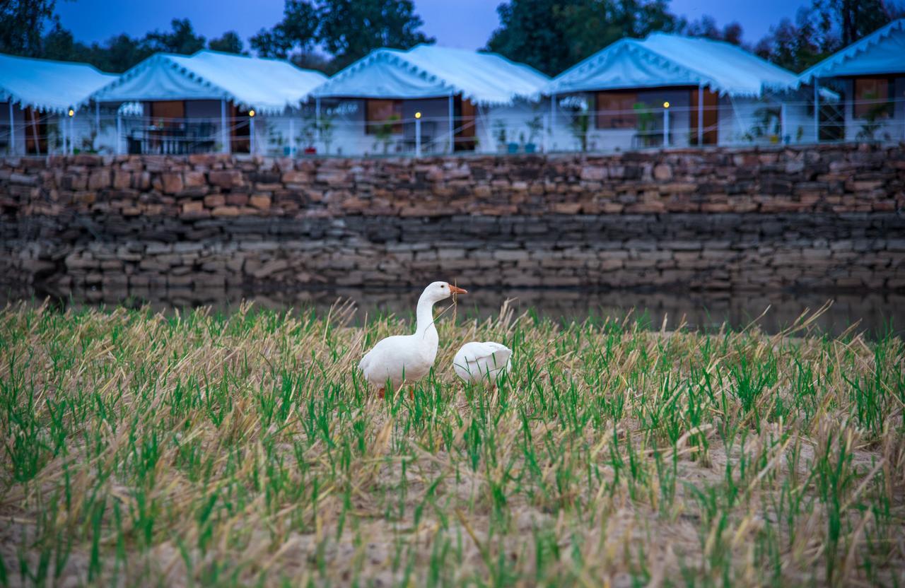 Padmavati Lake Resort Chittorgarh Exterior photo